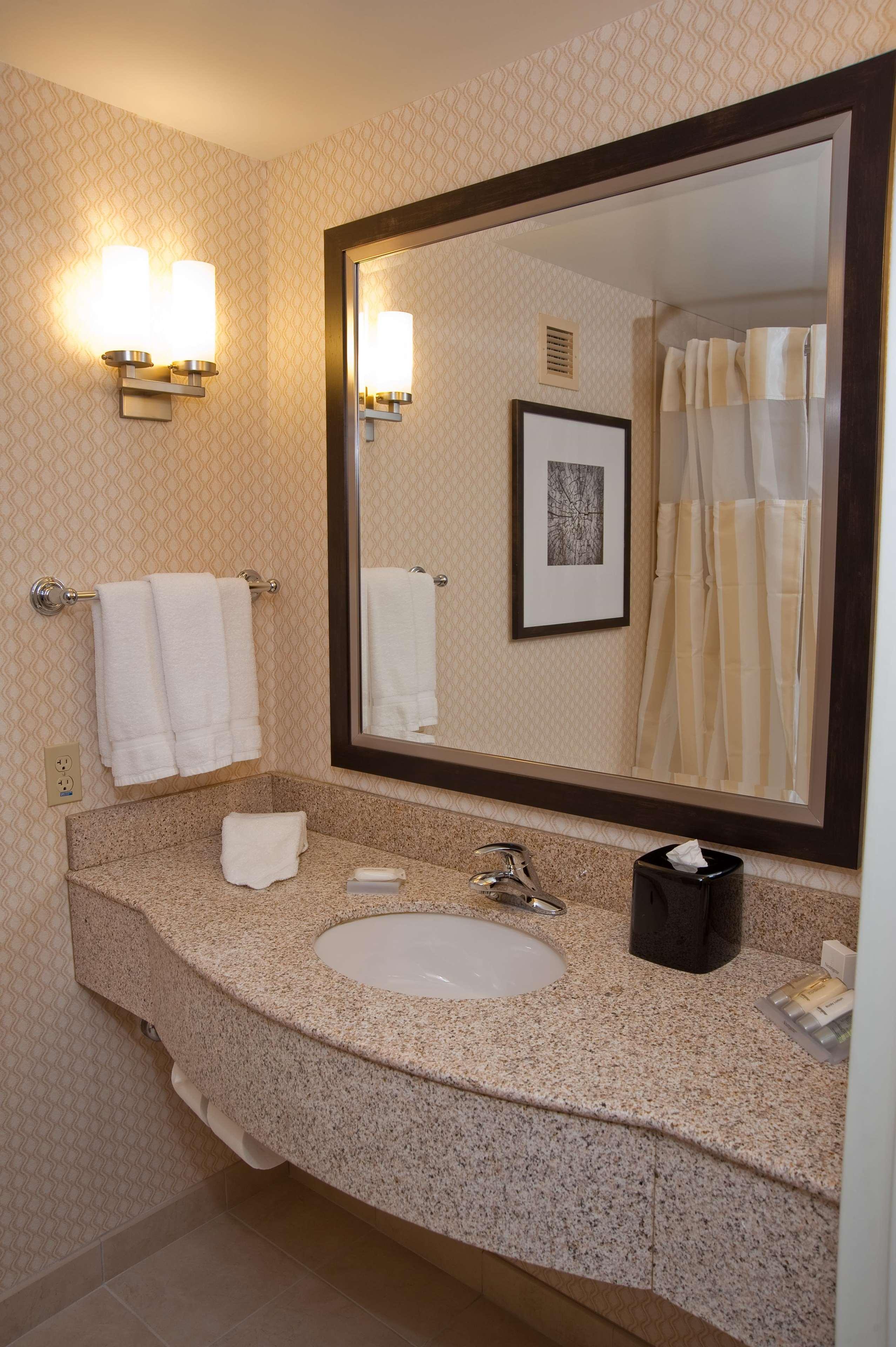 Hilton Garden Inn St. Louis Airport Berkeley Bilik gambar